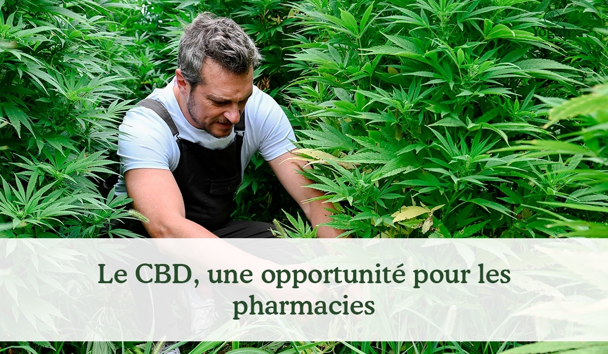 Est-ce que le CBD est mauvais pour la santé ?