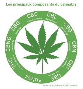 Est-ce que le médecin peut prescrire du CBD ?