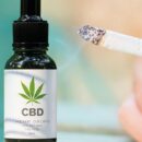 Quel est la meilleur CBD à fumer ?