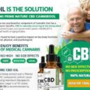 Quel est le prix de l'huile de CBD ?