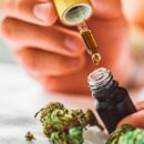 Quelle forme de CBD est la plus efficace ?