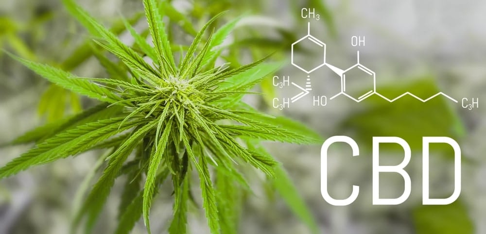 Quelles sont les Contre-indications du CBD ?