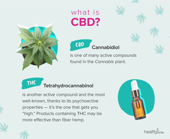 Quels sont les dangers du CBD ?